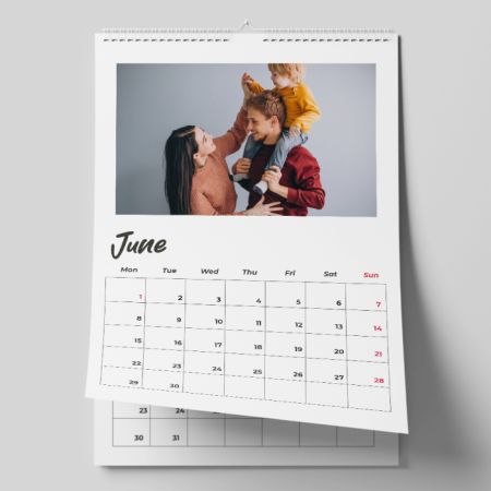 A3 Wall Calendar - D3